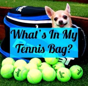 Tennis Fixation Gear Bag Equipment Puppy