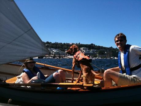 dog boating