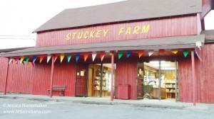 Stuckey Farms in Sheridan, Indiana