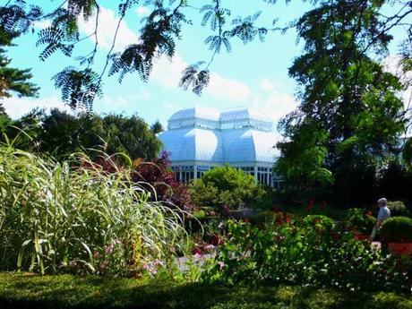 A Post Card from NYBG