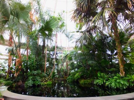 A Post Card from NYBG