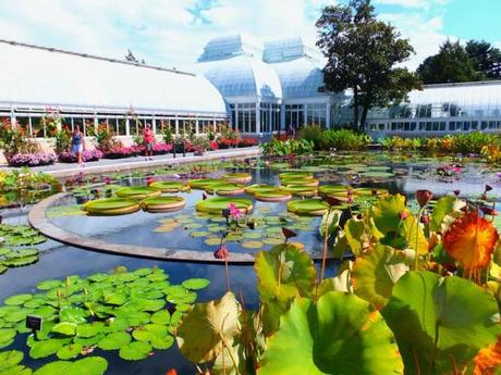 A Post Card from NYBG
