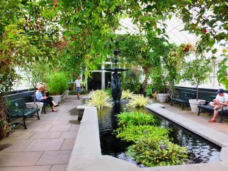 A Post Card from NYBG