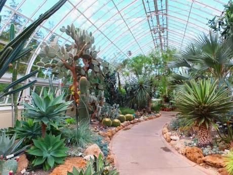 A Post Card from NYBG