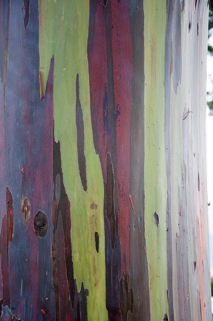 oahu july 2013 north shore and diamond head