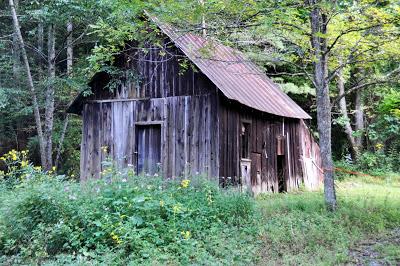 Along Laurel Creek