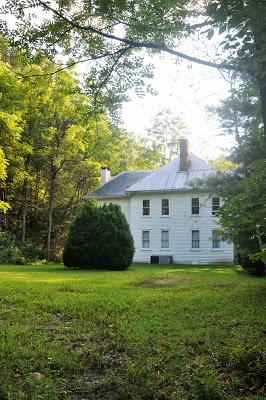 Along Laurel Creek