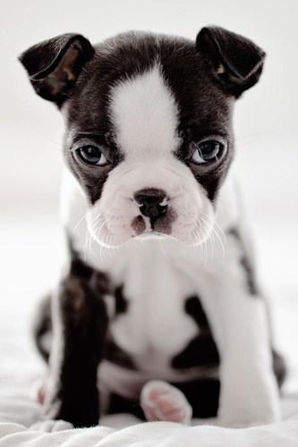 14092013#INSPIRATION