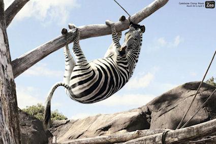 15 Wildly Imaginative Zoo Ads