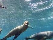 Explore Galapagos Islands With Google Street View