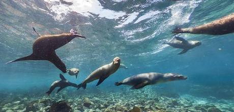 Explore The Galapagos Islands With Google Street View