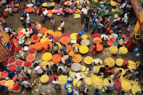 Taken September 14, 2013 in Bangalore