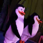 The penguins from Alex the Madagascar Show