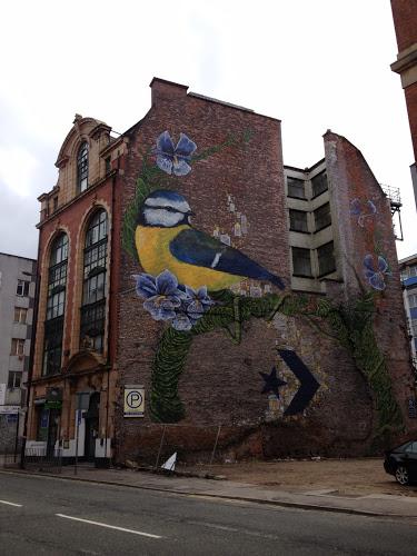 357/365 A large blue tit in Manchester