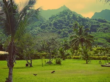 The Island of Rarotonga