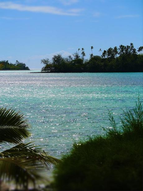 The Island of Rarotonga