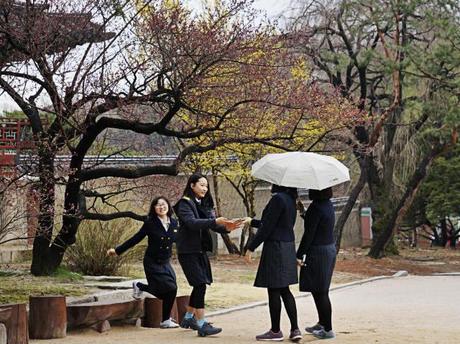 finding how to work overseas