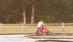 Stuckey Farms in Sheridan, Indiana