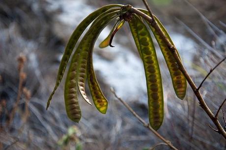 oahu july 2013 north shore and diamond head