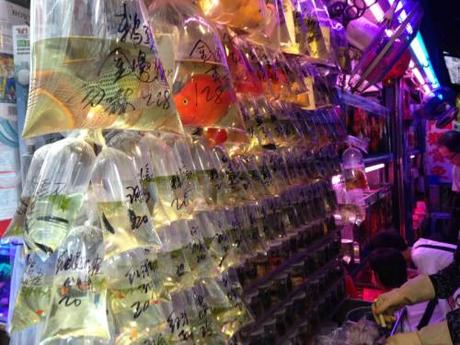 Hong Kong's Goldfish Markets