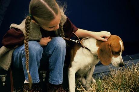 beagle with kid