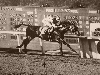 A Racing Biscuit: Seabiscuit