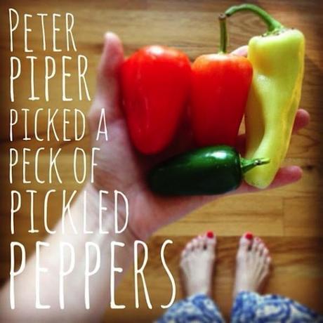 summer peppers text