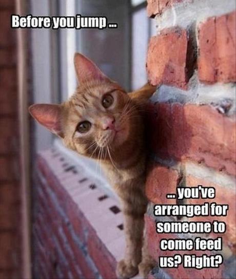 Why Not To Kill Yourself