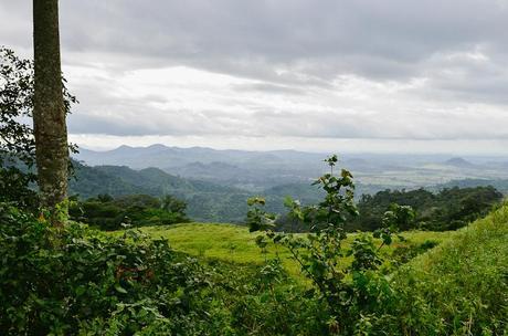 Hiking in Liberia | Where My Heart Resides-8