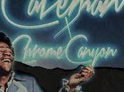 Chrome Canyon Mashes Caveman Green into Funky Nostalgic Oblivion [free Mp3]