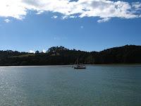 Bay of Islands by car and boat :)