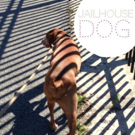 Jail