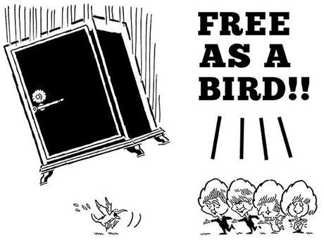 Calling All Caricature Lovers: Another Edition Of “Name That Idiot Celeb” caricatures of Beatles John Paul George Ringo singing Free As A Bird with falling safe about to land on happy joyful bird