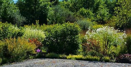 Enjoying the foliage colors