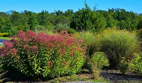 Enjoying the foliage colors