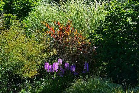 Enjoying the foliage colors