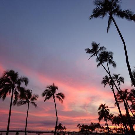 Oahu - hale koa hotel area