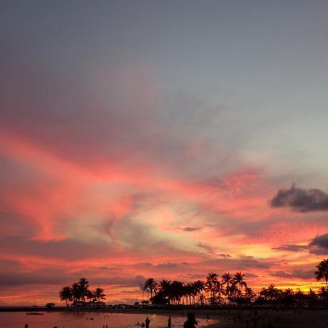 Oahu - hale koa hotel area