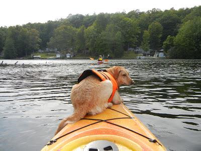 Behind the Photo:  A Kayak Story