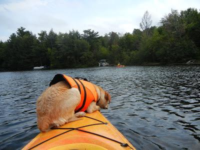 Behind the Photo:  A Kayak Story