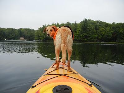 Behind the Photo:  A Kayak Story