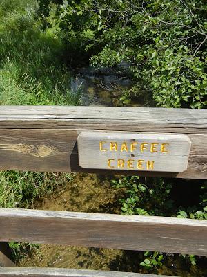 Ice Age Trail:  Chaffee Creek Segment