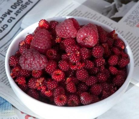 japanese Winberries and raspberries
