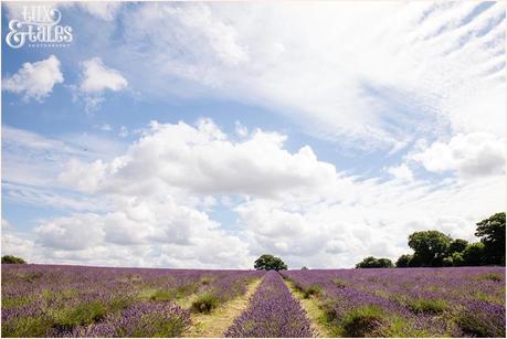 UK lavender field mayfield engagement