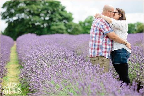 Engagement shoot photograph of a tattooed couple cuddling in mayfield lavender field 