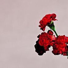 Review // John Legend – Love In the Future