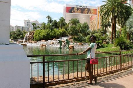 Viva Las Vegas: Part 3