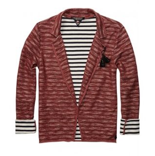 stripe blazer