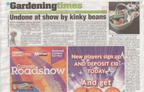 The Hinckley Times 5 September 2013