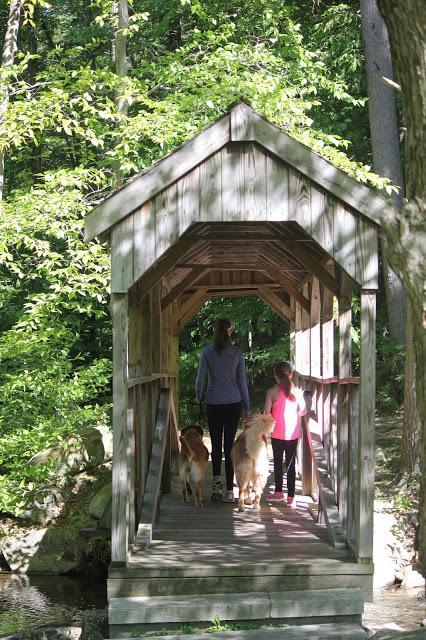 A Covered Bridge